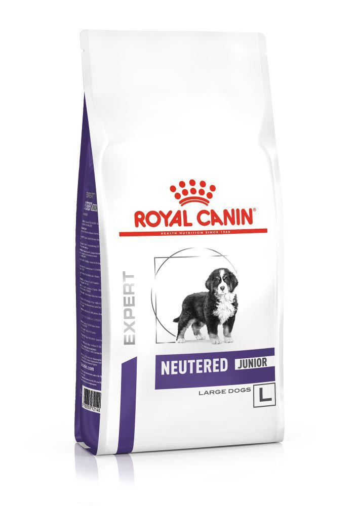 Royal canin large breed hot sale junior