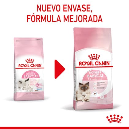RC-SPT-DRY-Babycat-CV-1-es_ES