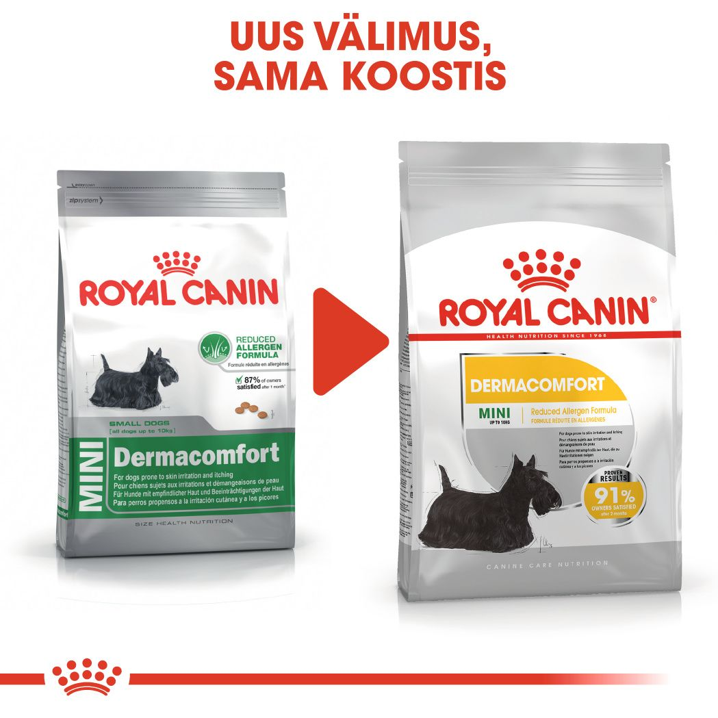 Royal Canin Mini Dermacomfort kuivtoit