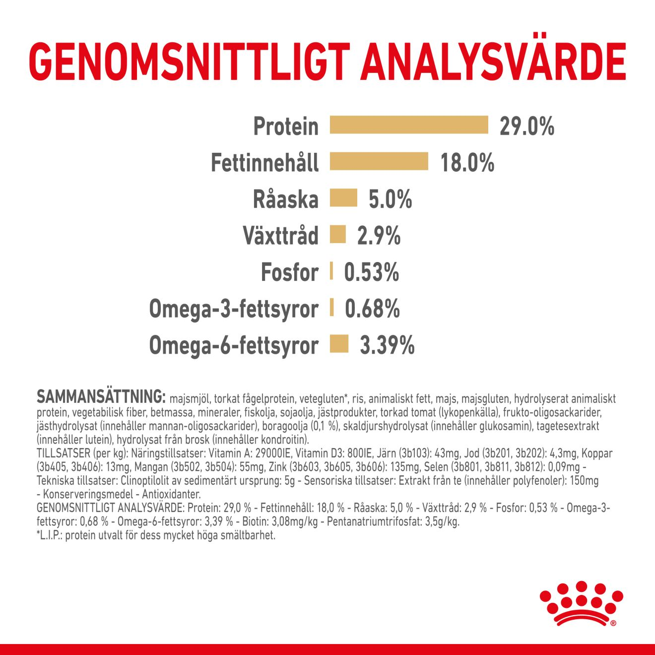 Yorkshire Terrier 8+