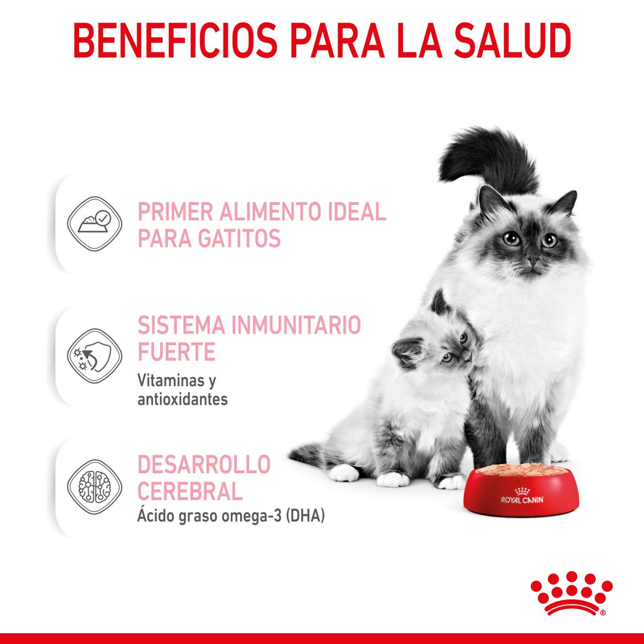 MOTHER & BABYCAT Ultra soft mousse