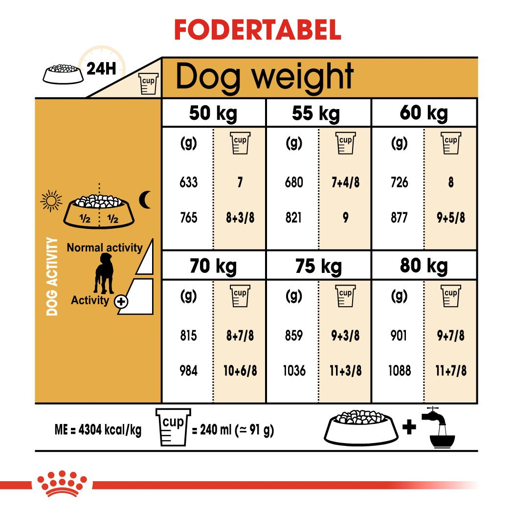 Great Dane Adult