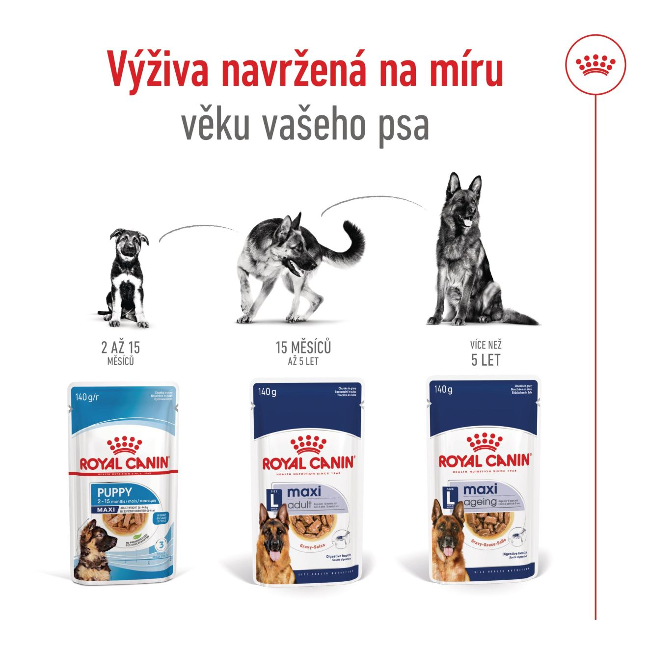MAXI ADULT kousky ve šťávě