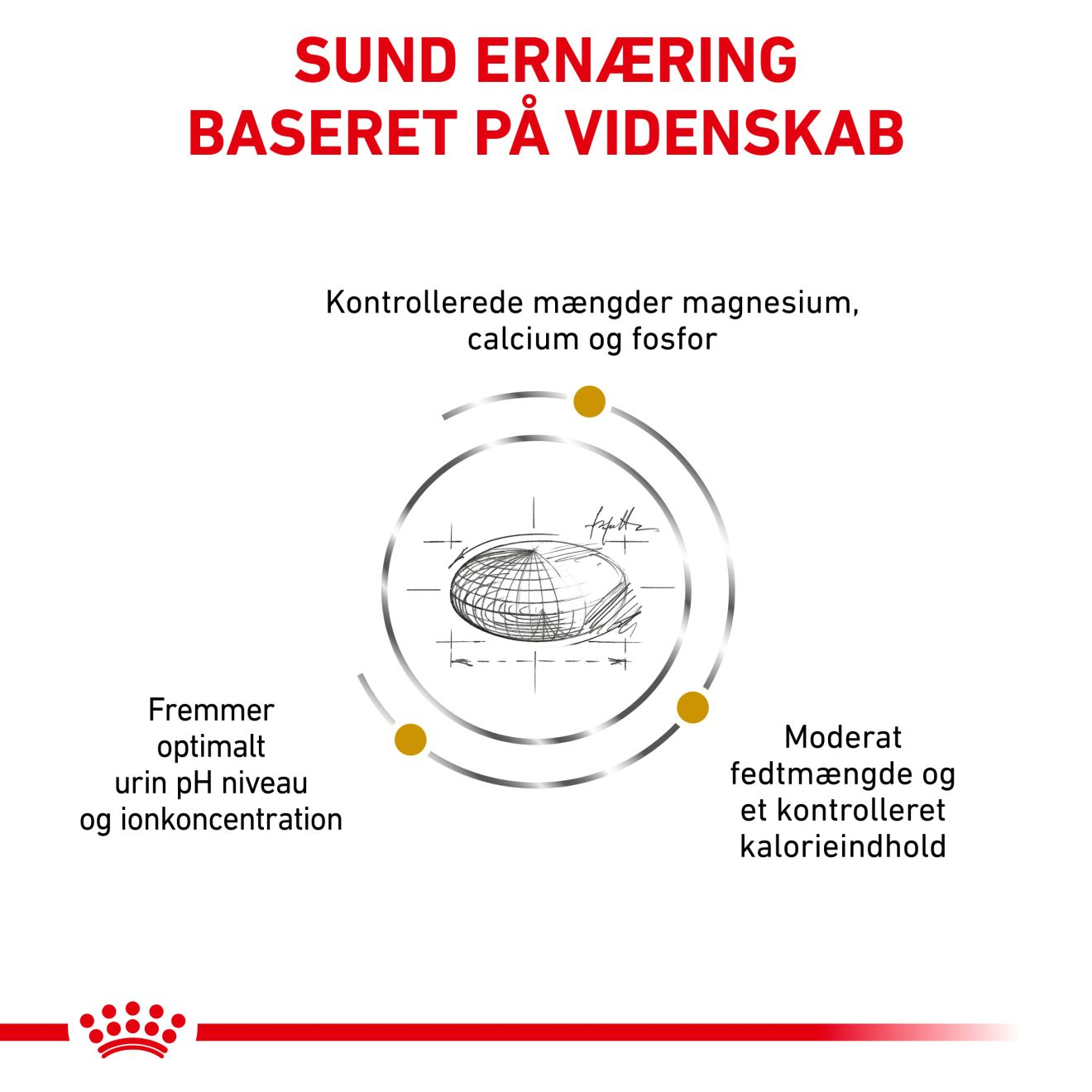 Urinary S/O Moderate Calorie