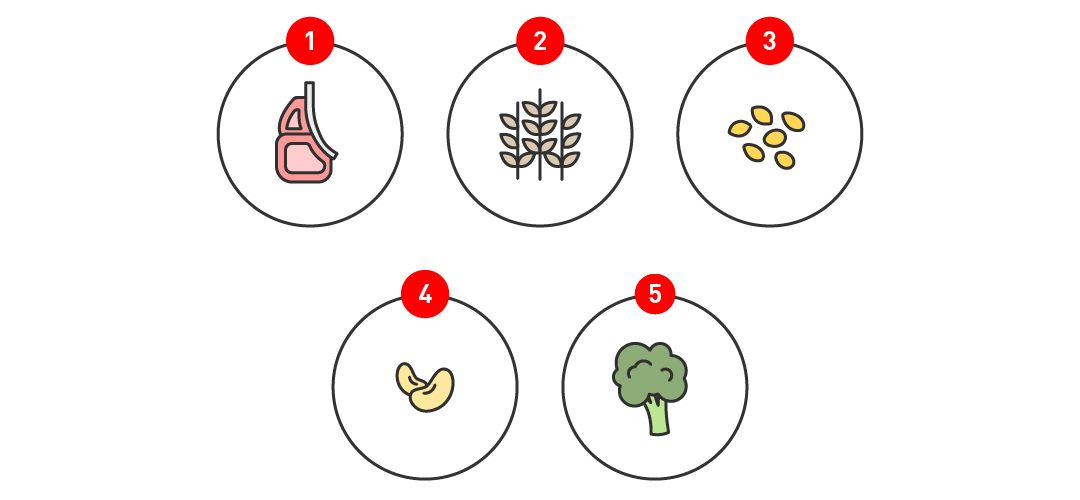 Cinco ilustraciones que muestran las fuentes de proteínas