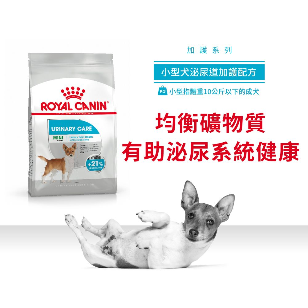 CCN 小型犬泌尿道加護配方