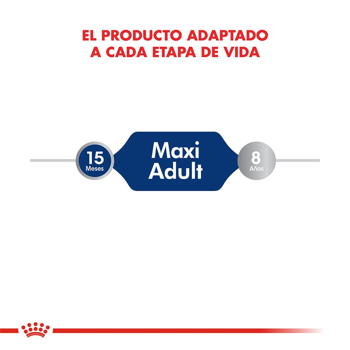 Maxi Adult