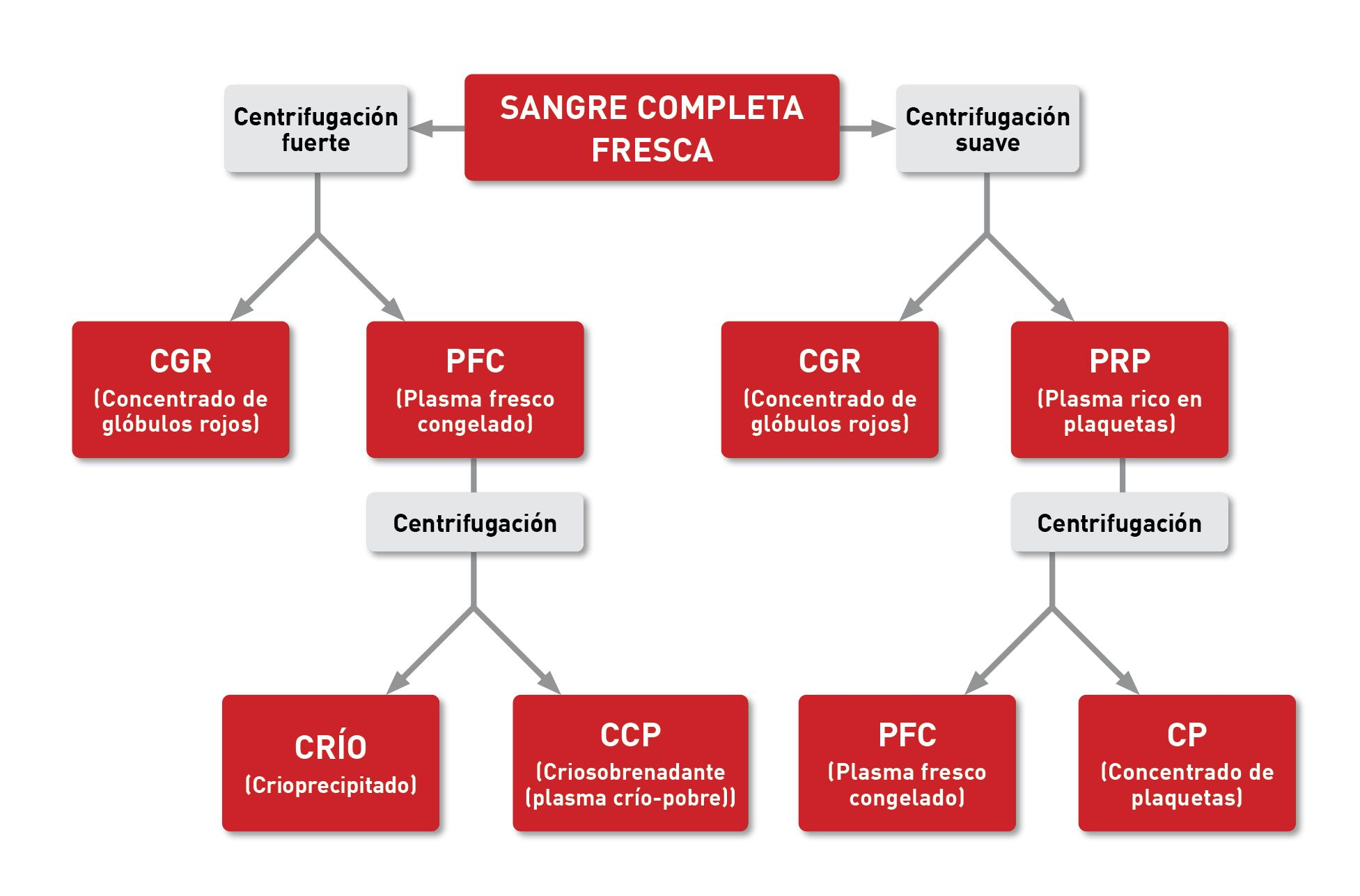 Desglose de los productos 