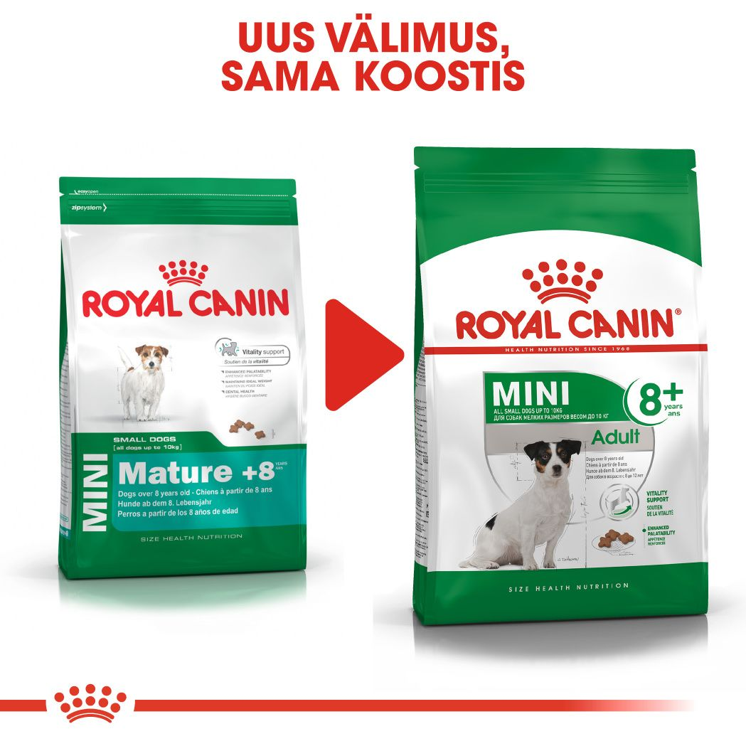 Royal Canin Mini Adult 8+ kuivtoit