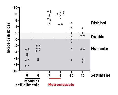 ffetto della transizione alimentare e del metronidazolo sul microbioma intestinale in cani sani 