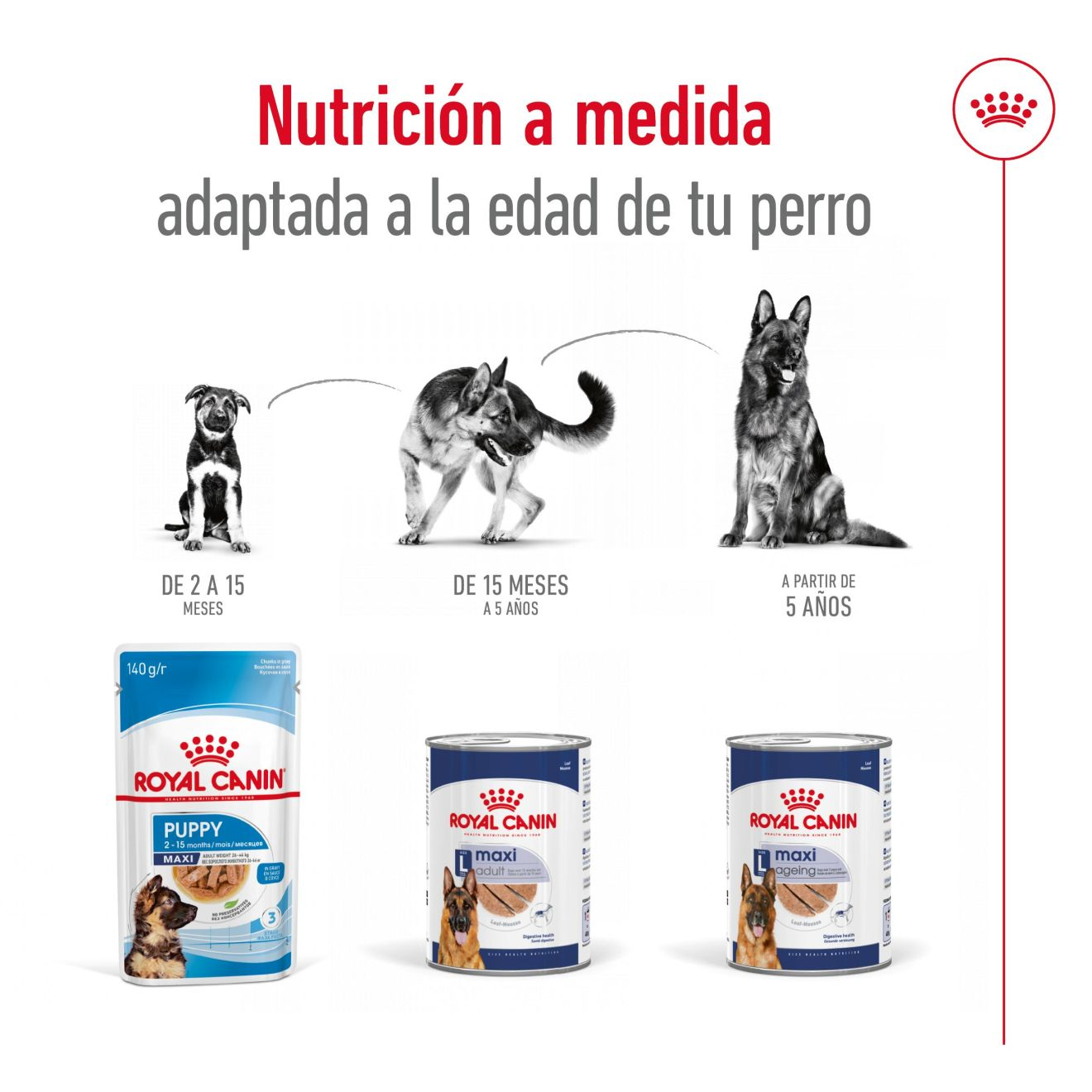 Maxi Ageing - Paté