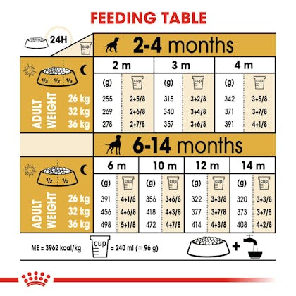 Royal canin boxer 12 hot sale kg