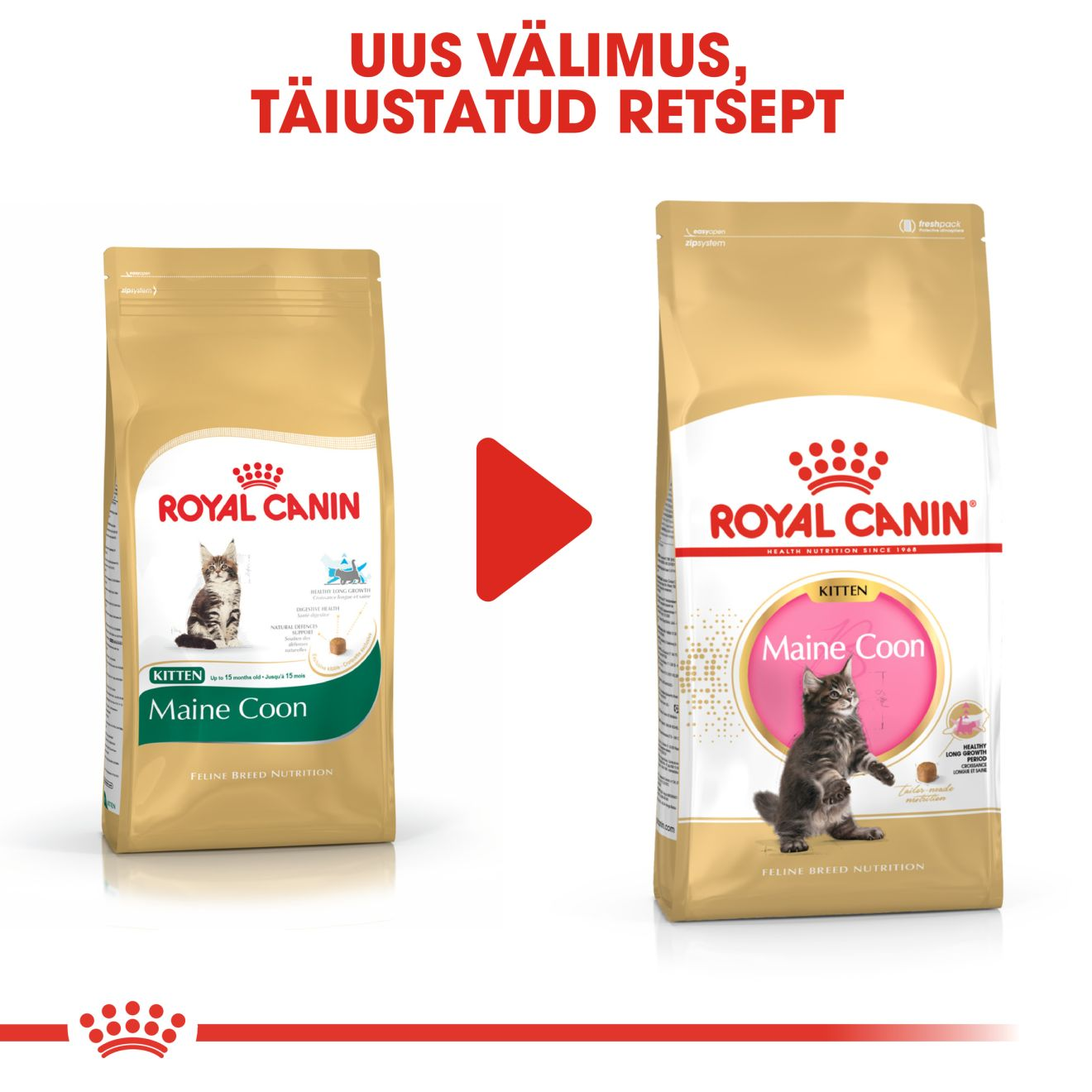 Royal Canin Maine Coon Kitten kuivtoit