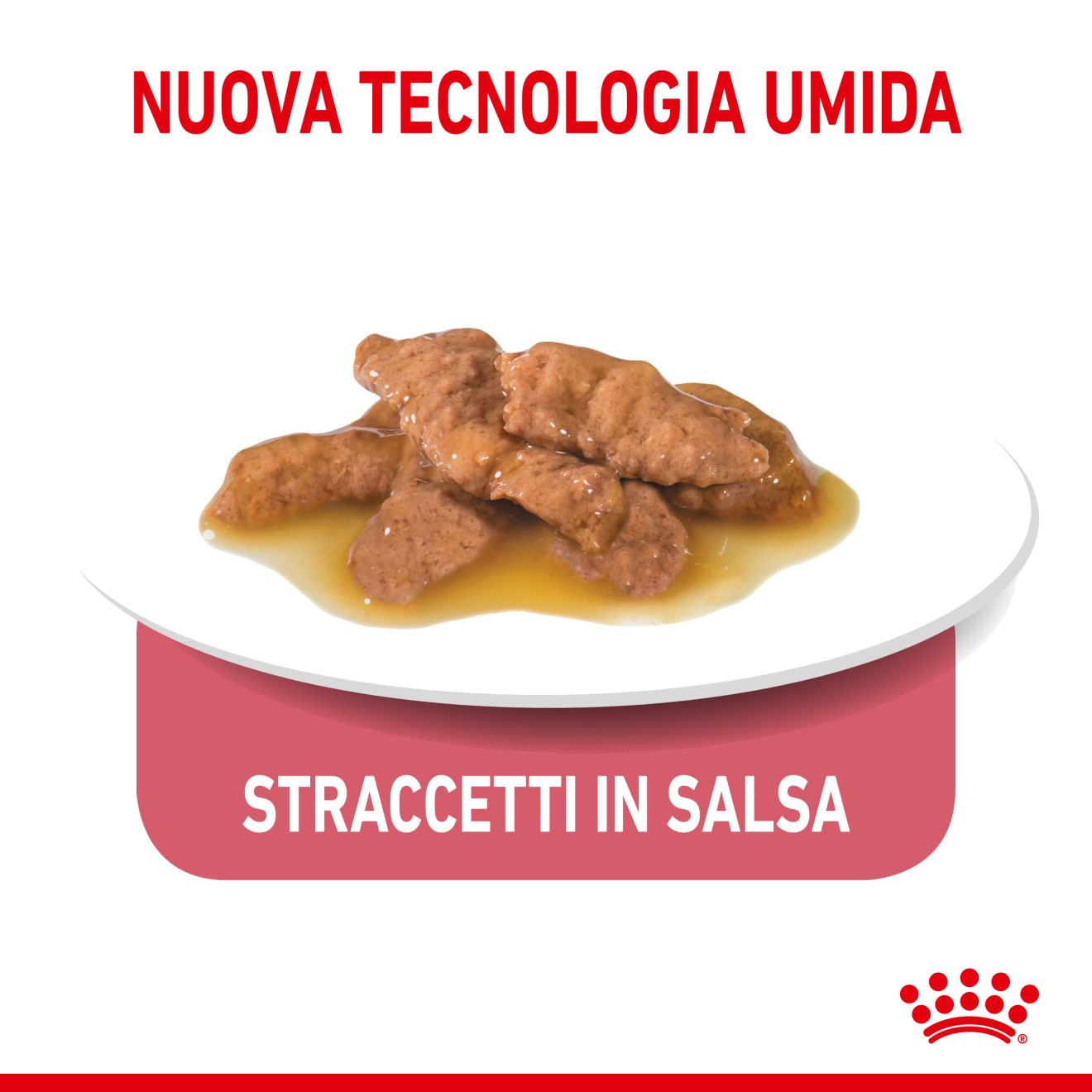 Indoor Sterilised straccetti in salsa