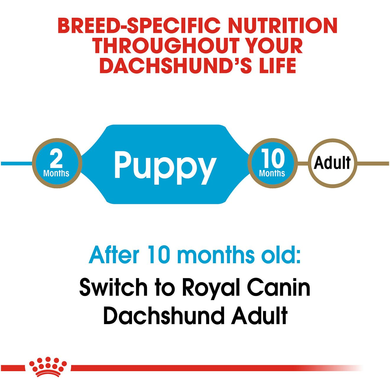 Royal canin best sale dachshund ingredients