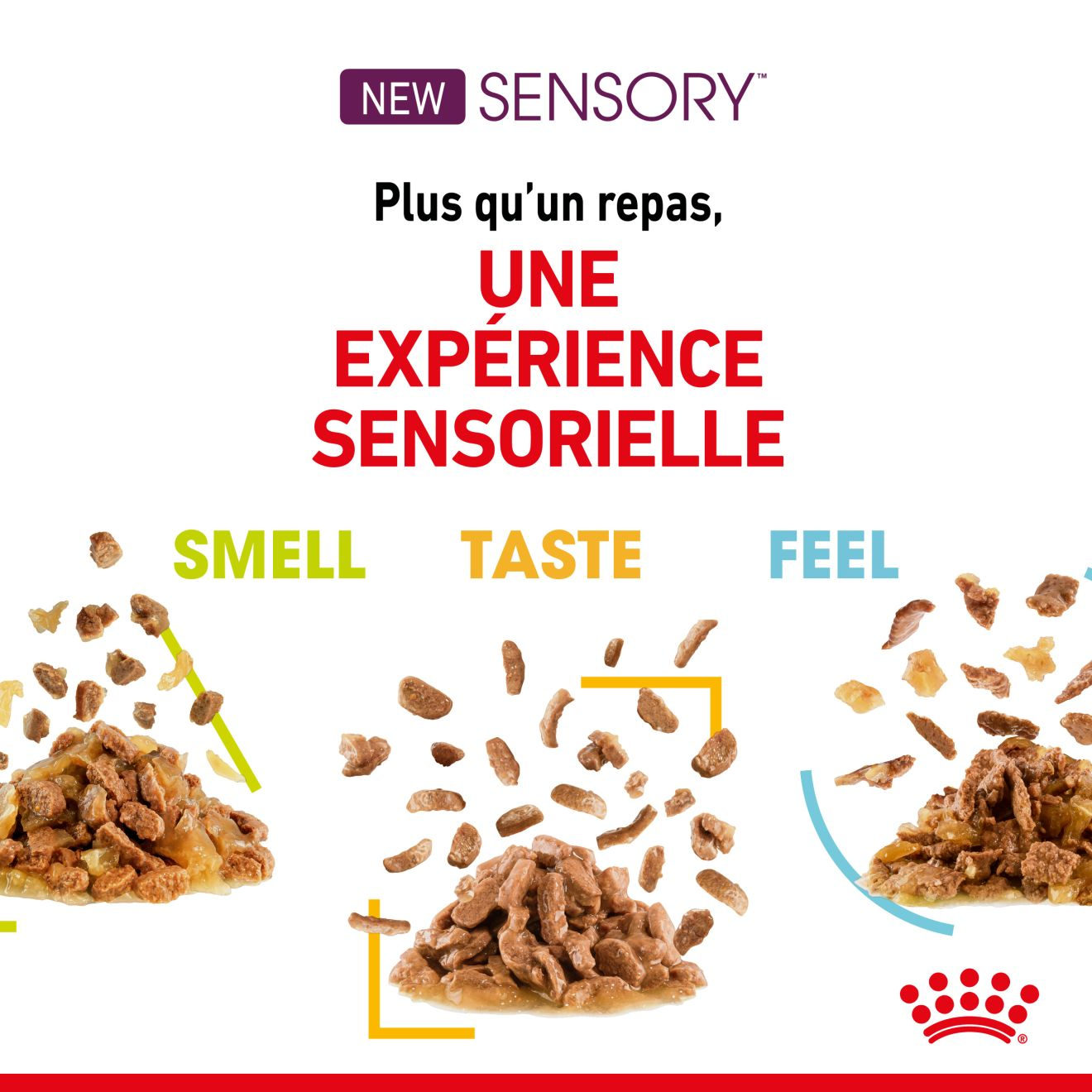 SENSORY™ SMELL TASTE FEEL en sauce