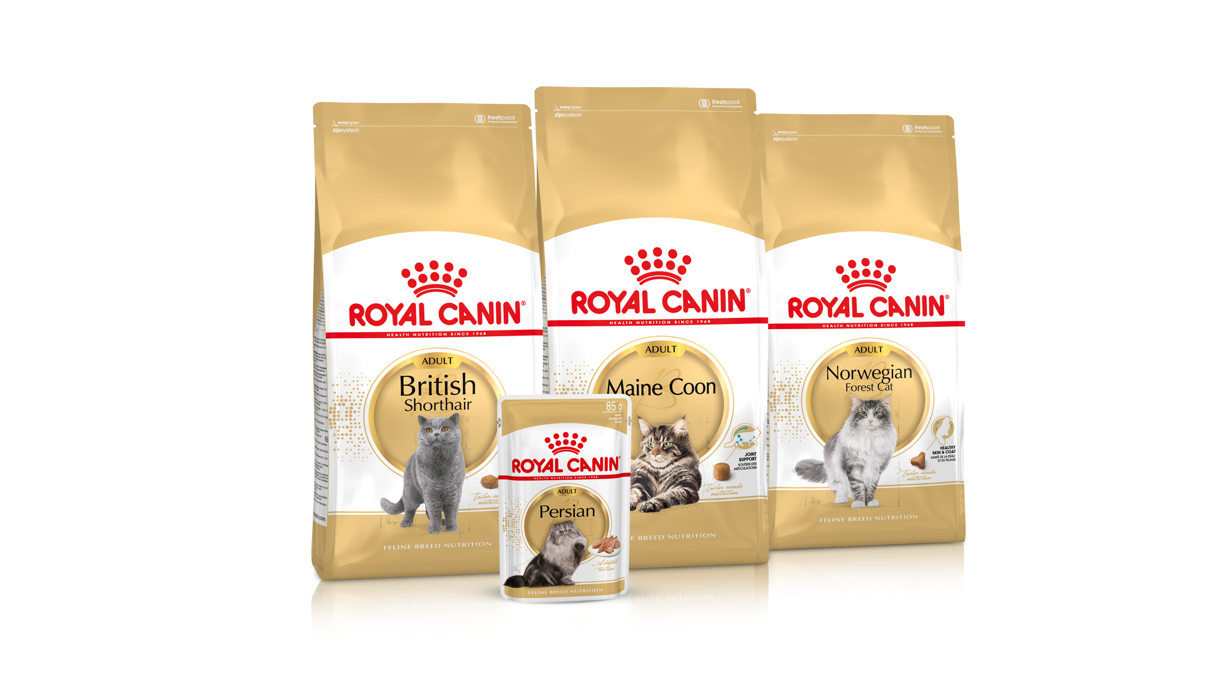 Feline breed nutrition range pack shot