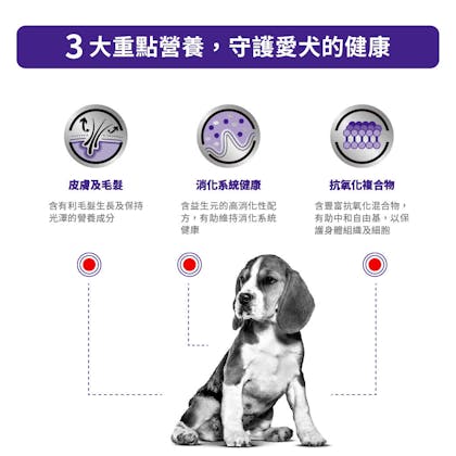 中型成犬健康管理配方_方_2