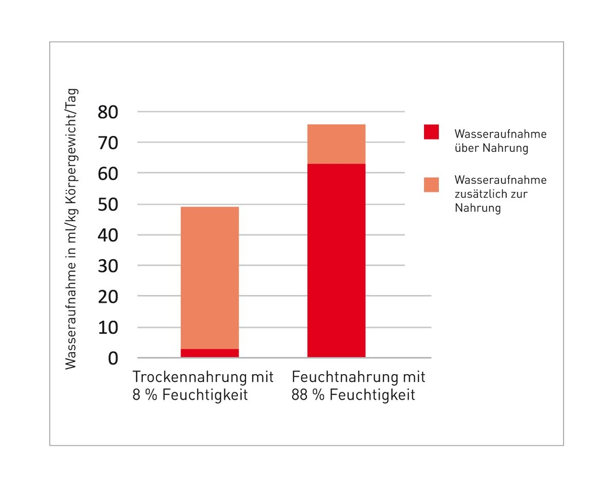 Flüssigkeitsaufnahme von Katzen bei Trocken- und Feuchtfütterung (8).