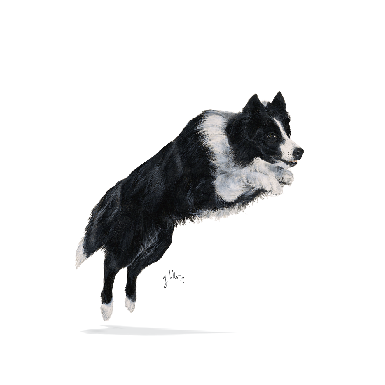 Royal Canin Sporting Energy 4100 Large Dog - Hondenvoer | Royal Canin ...