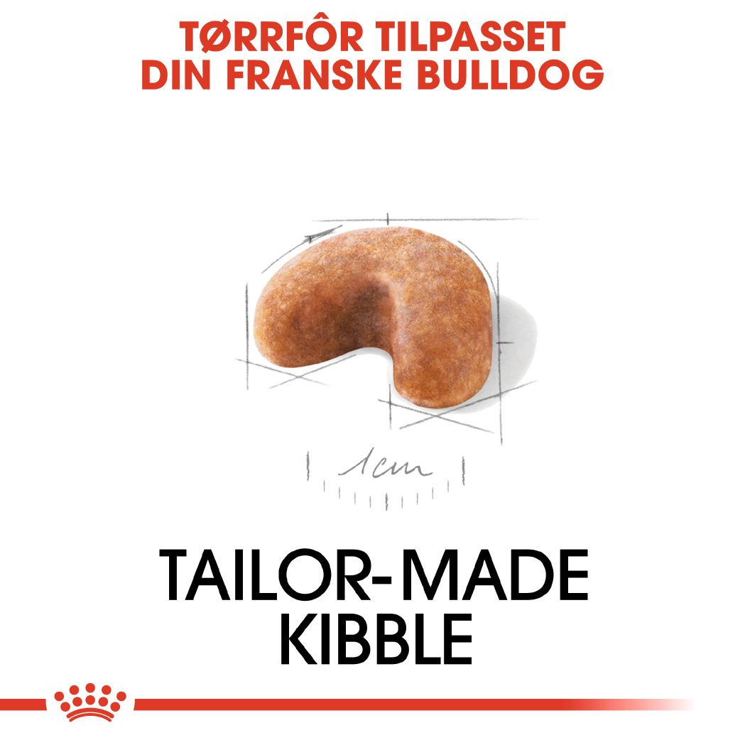 French Bulldog Puppy