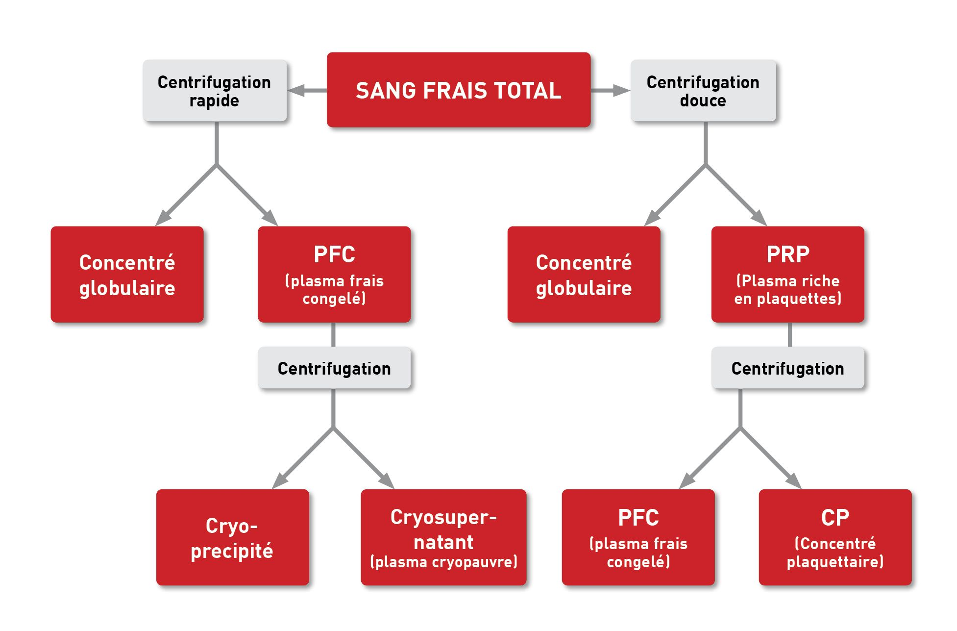 Principaux produits sanguins 