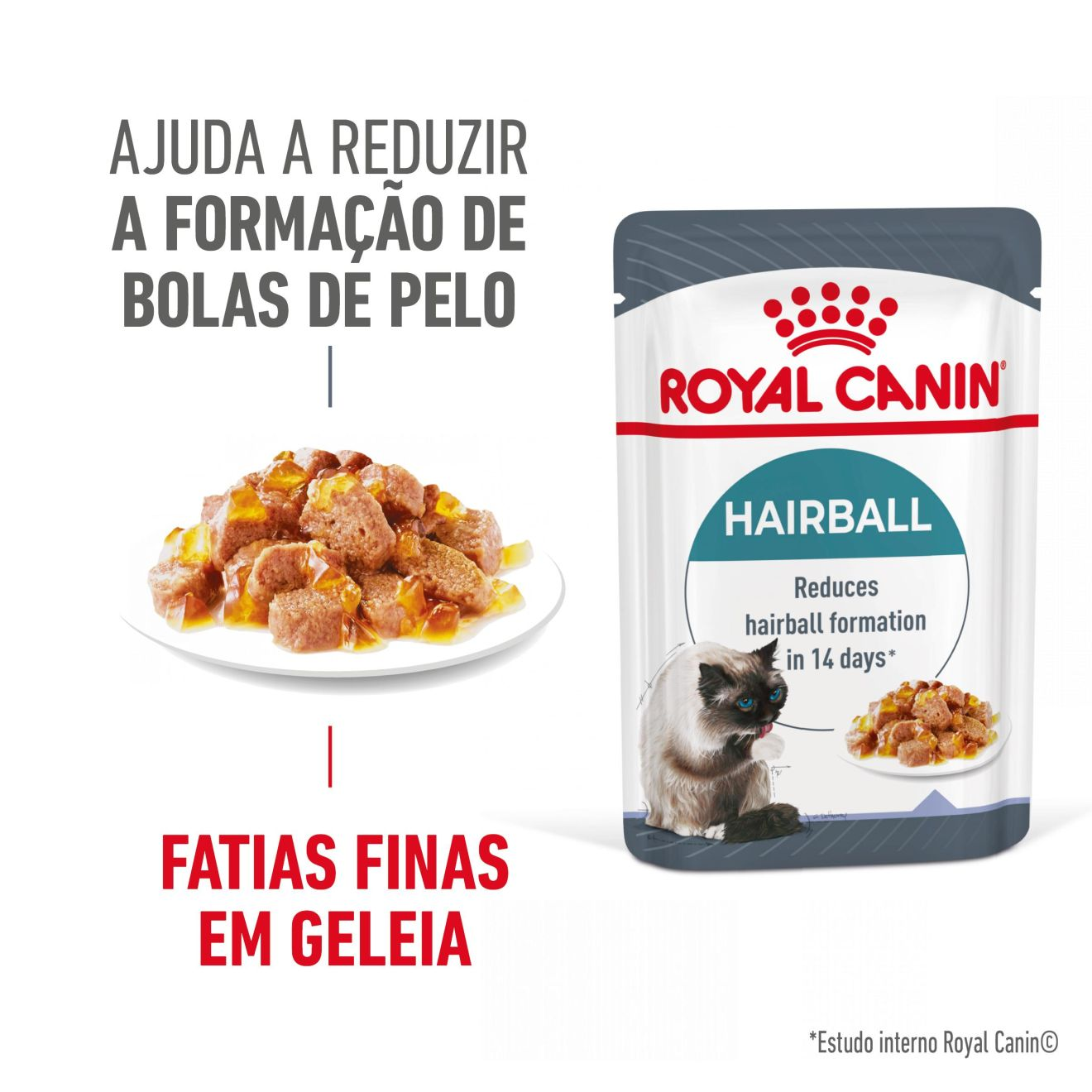 HAIRBALL CARE Fatias finas em geleia