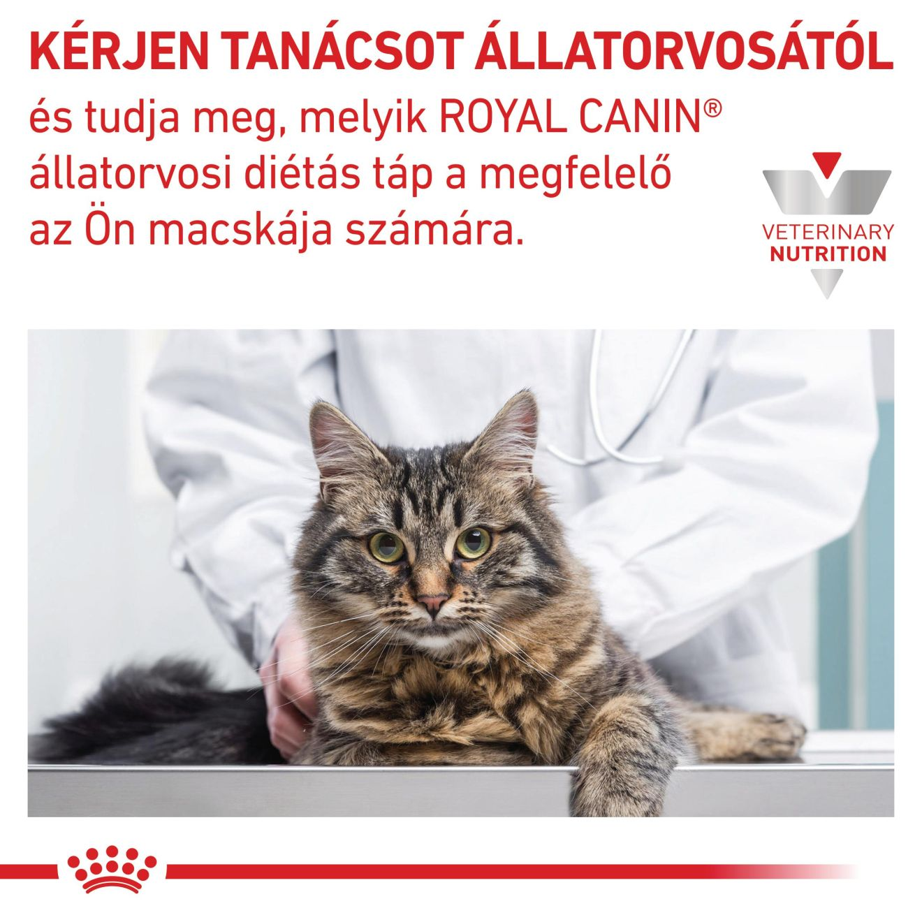 Sensitivity Control Csirkehússal