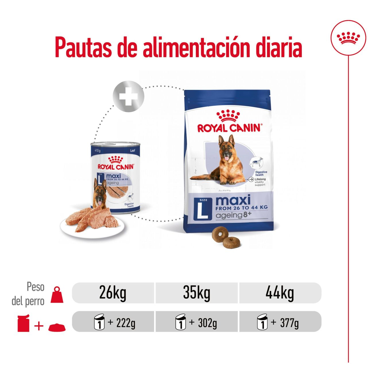 Maxi Ageing - Paté
