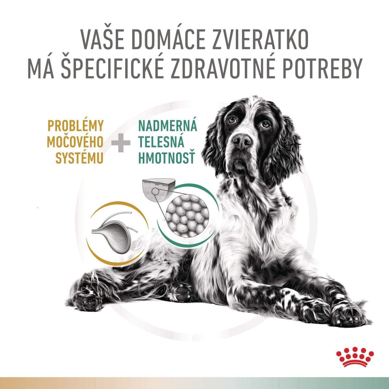 VHN Dog CA Urinary S/O-Satiety