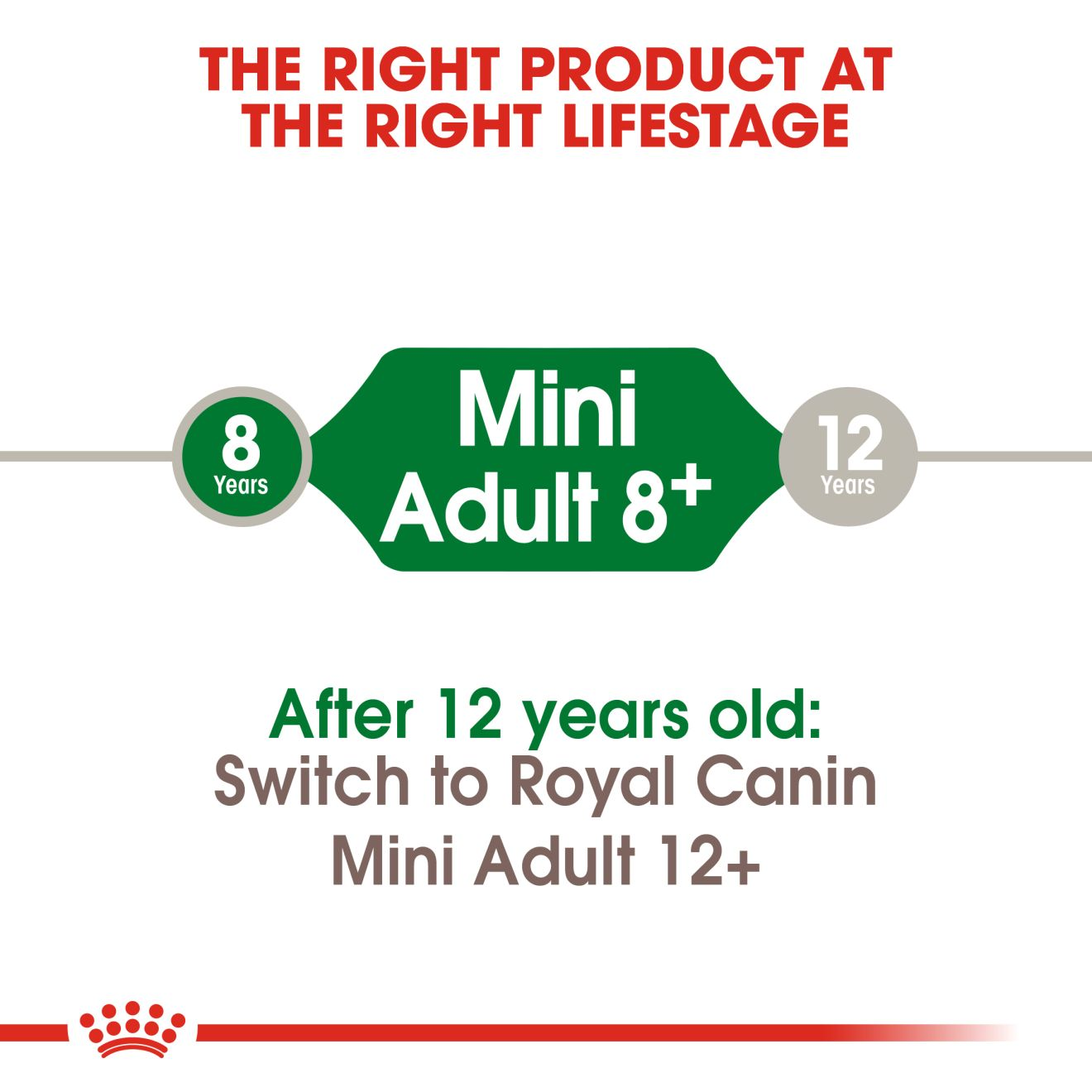 Mini Adult 8+