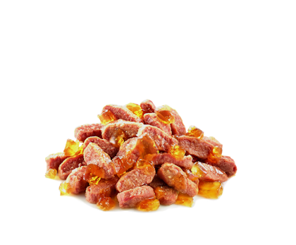 KITTEN-JELLY-FHNW17