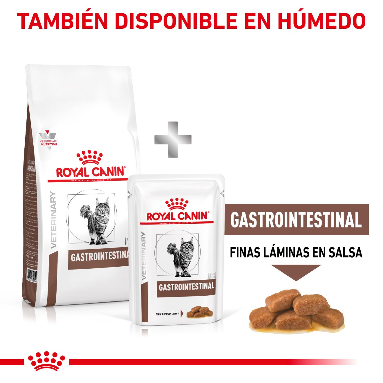 Gastrointestinal