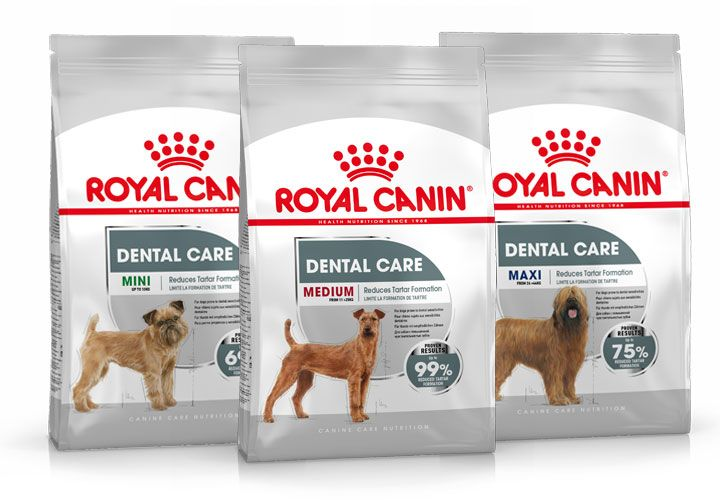 Canine care nutrition dental range pack shot