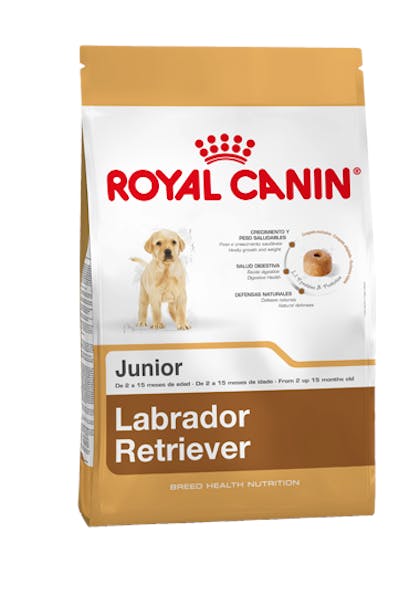 CL-L-Producto-Labrador-Retriever-Junior-Breed-Health-Nutrition-Seco