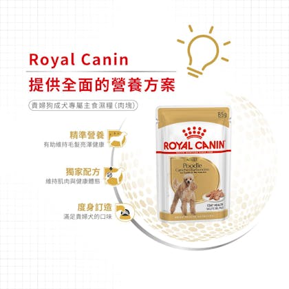 Royal Canin _貴婦成犬專屬主食濕糧（肉塊）_正方形_HK_3