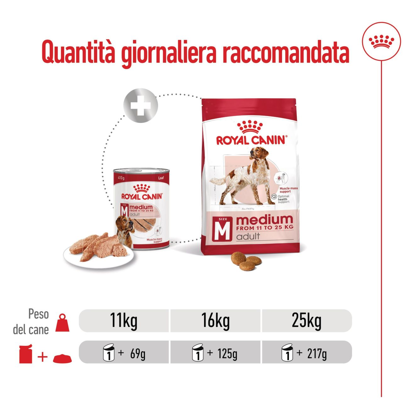 Medium Adult in patè