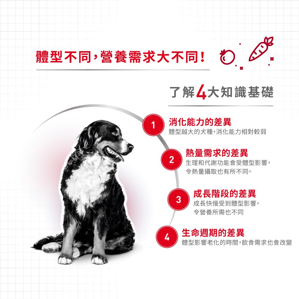 M+7 中型熟齡犬7+ 歲以上專用乾糧