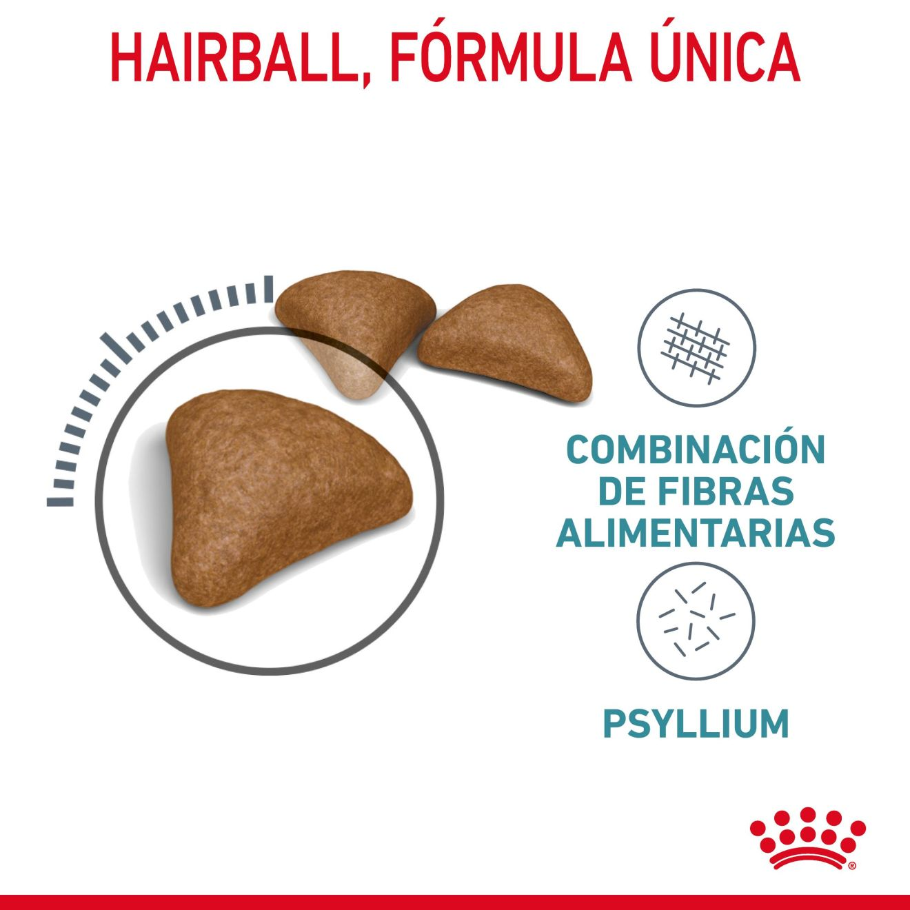 Hairball Care