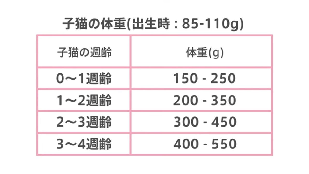 【出生時85~110gの子猫の0~4週齢別の体重目安】