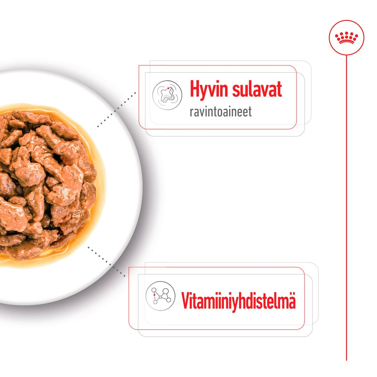 Mini Adult palasia kastikkeessa