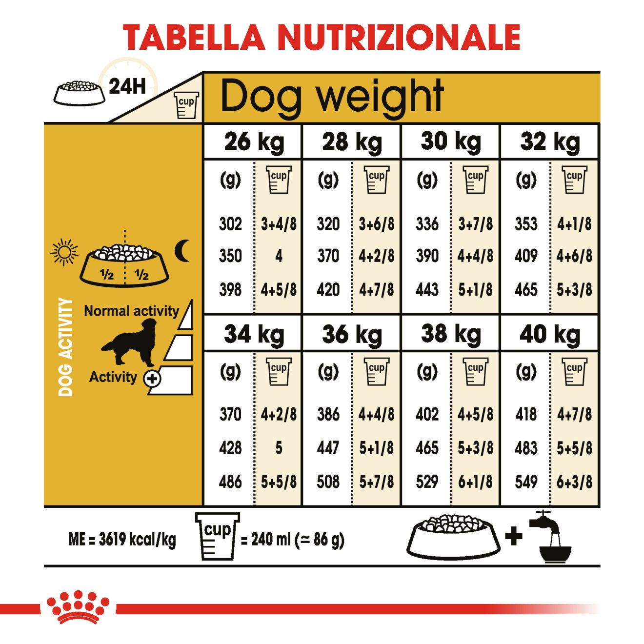 GOLDEN RETRIEVER Adult