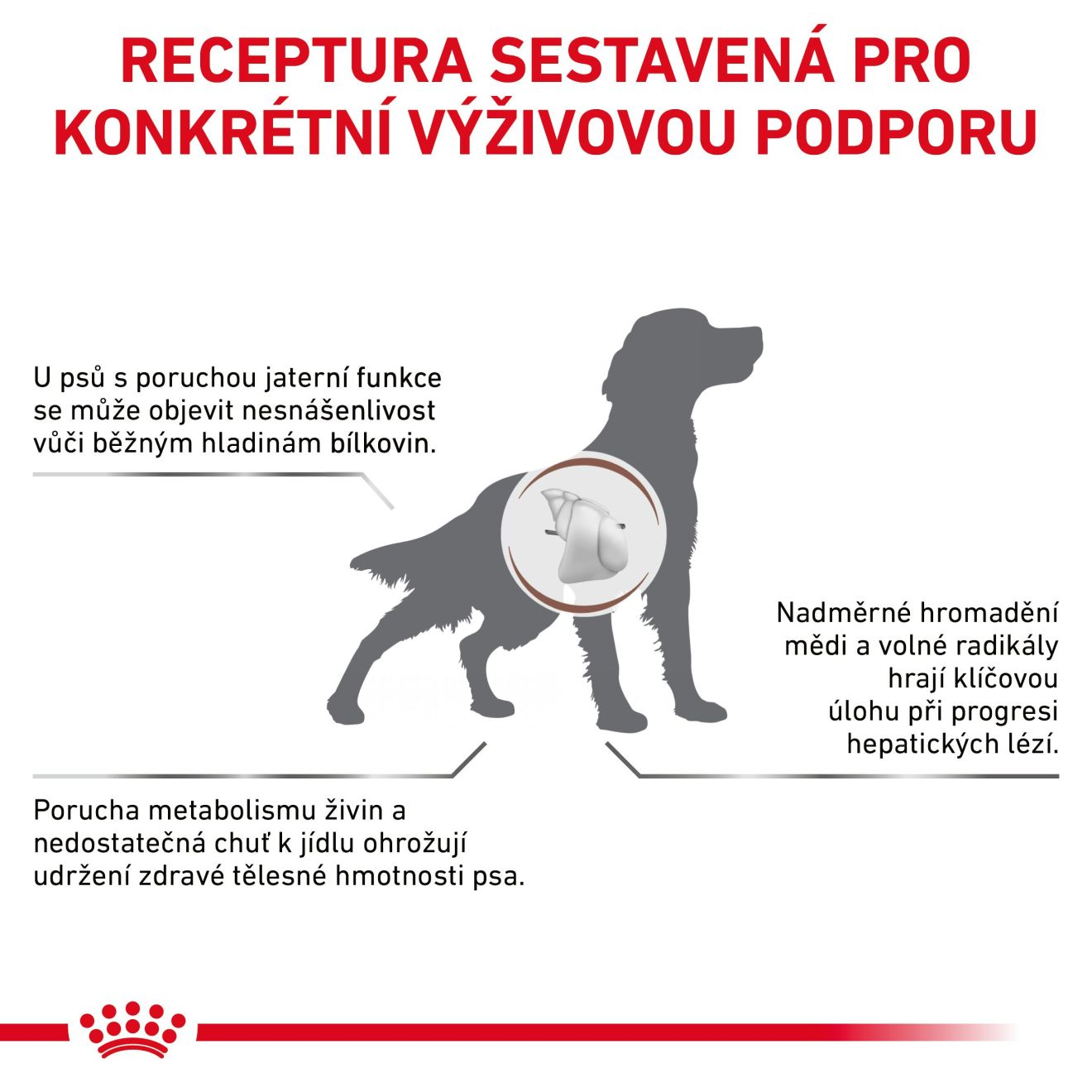 VHN Dog Hepatic