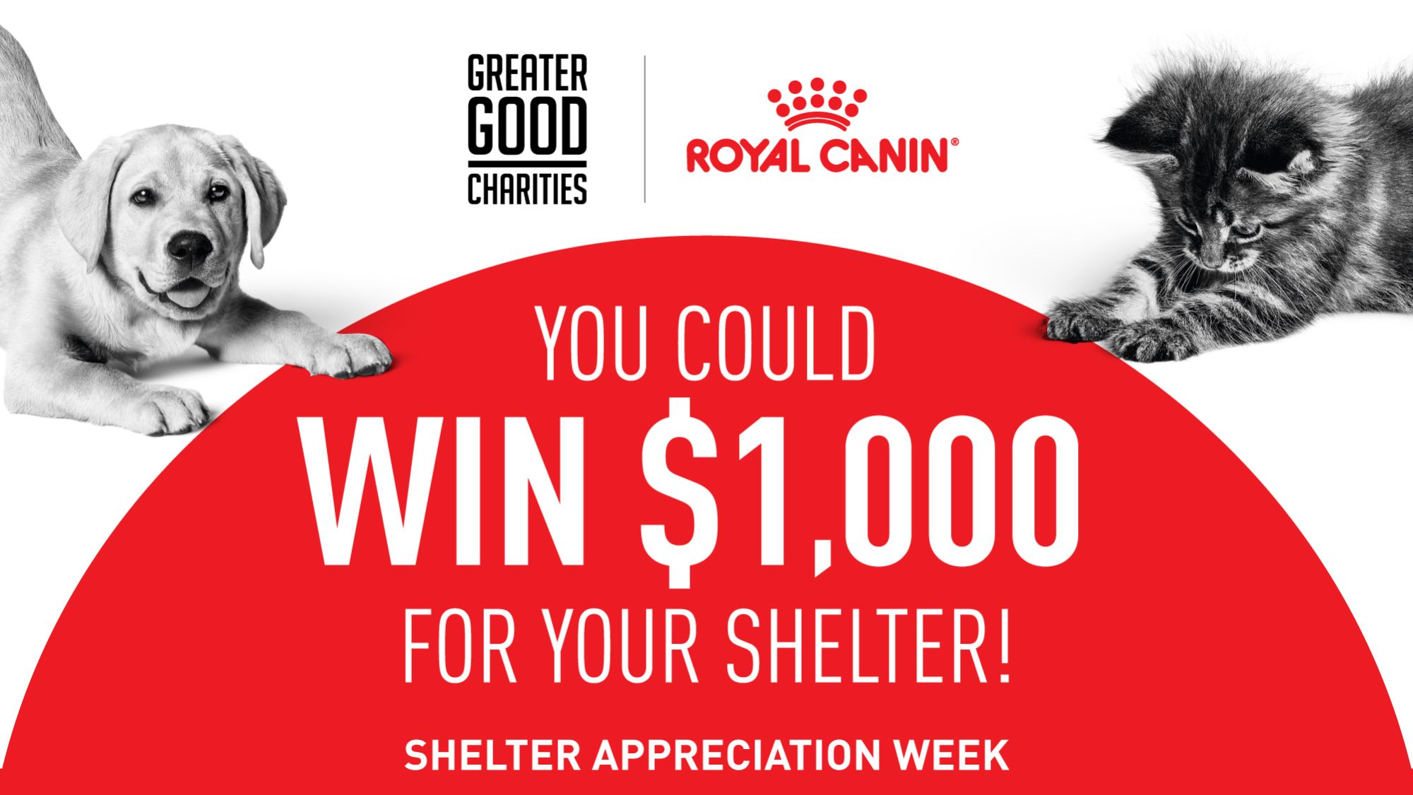 National Shelter Appreciation