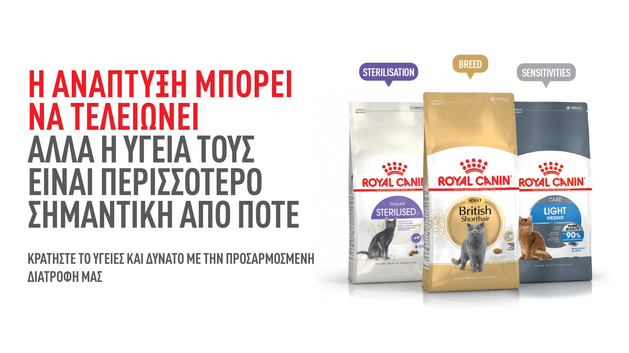 ΜΕΤΑΒΑΣΗ ΣΕ ΤΡΟΦΗ ΓΙΑ ΕΝΗΛΙΚΕΣ ΓΑΤΕΣ