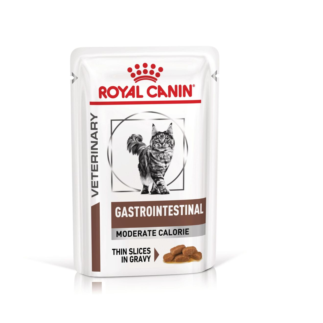 GASTROINTESTINAL MODERATE CALORIE