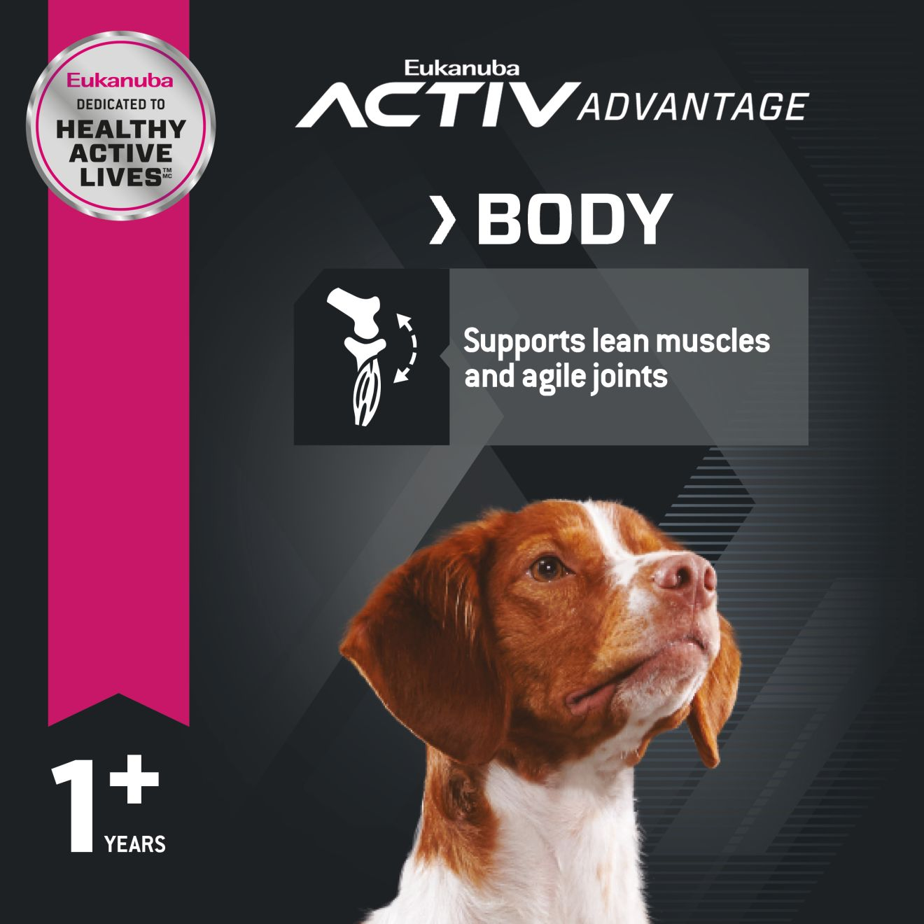 Eukanuba™ ADULT - LAMB 1ST INGREDIENT