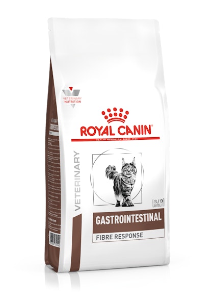 Royal canin gastro intestinal fibre response для кошек для чего. vhn gastrointestinal fibre response cat dry packshot?w=420&fm=jpg. Royal canin gastro intestinal fibre response для кошек для чего фото. Royal canin gastro intestinal fibre response для кошек для чего-vhn gastrointestinal fibre response cat dry packshot?w=420&fm=jpg. картинка Royal canin gastro intestinal fibre response для кошек для чего. картинка vhn gastrointestinal fibre response cat dry packshot?w=420&fm=jpg