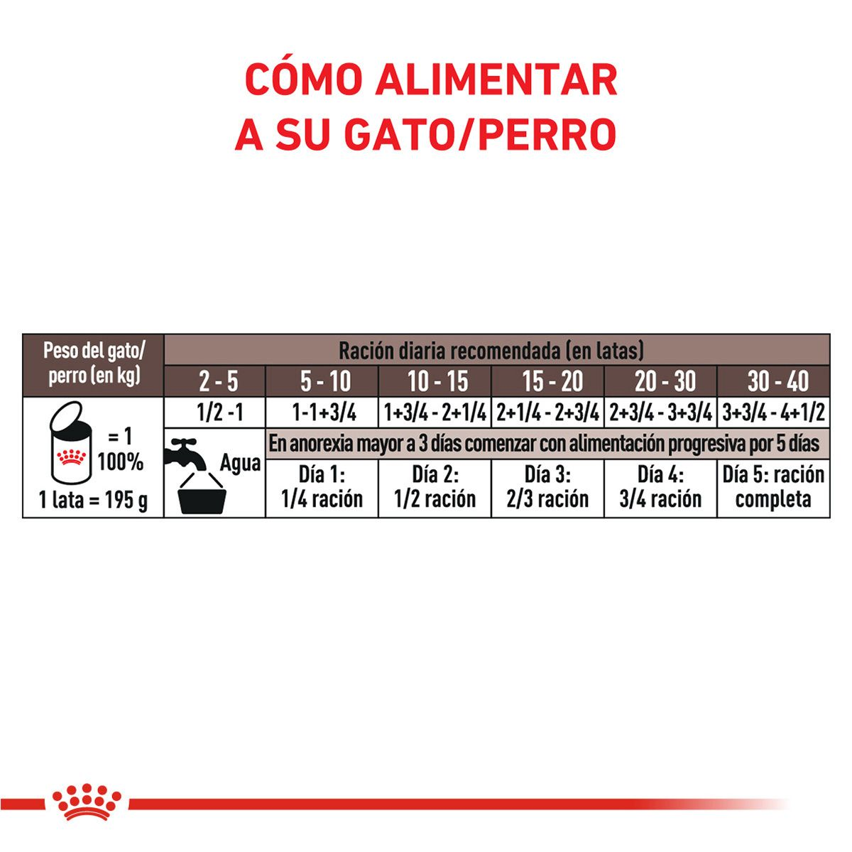 Kit 06un Alimento Úmido Recovery Royal Canin Cães Gatos 195g em