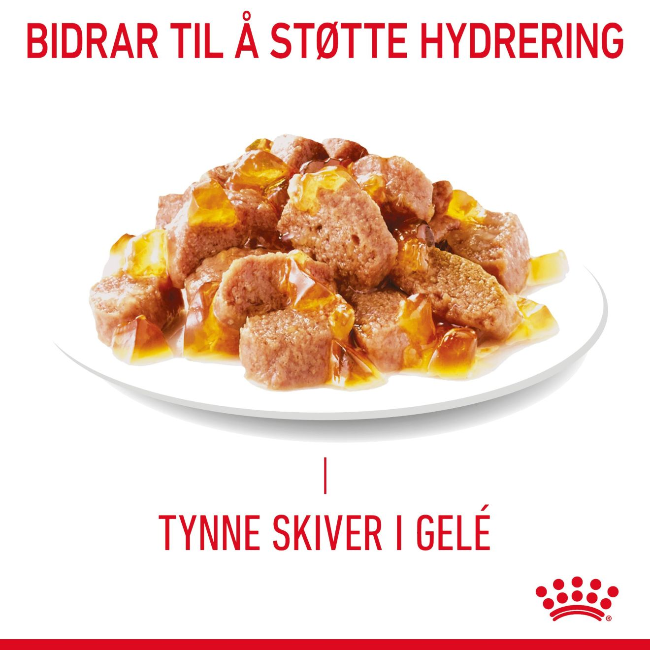 Light Weight Care Jelly Adult 